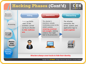 Hacking Phases