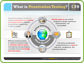 What is penetration Testing?