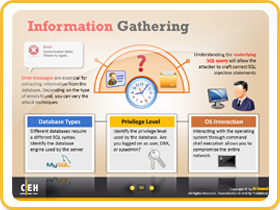 Information Gathering